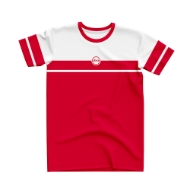 2-tone-unisex-t-shirt