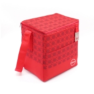 erwin-12-can-cooler-with-bottle-opener