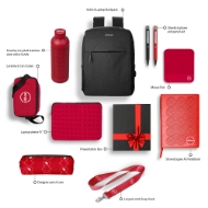 Picture of The Absa prestige pack