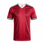 Picture of Twelfth player soccer t-shirt unisex
